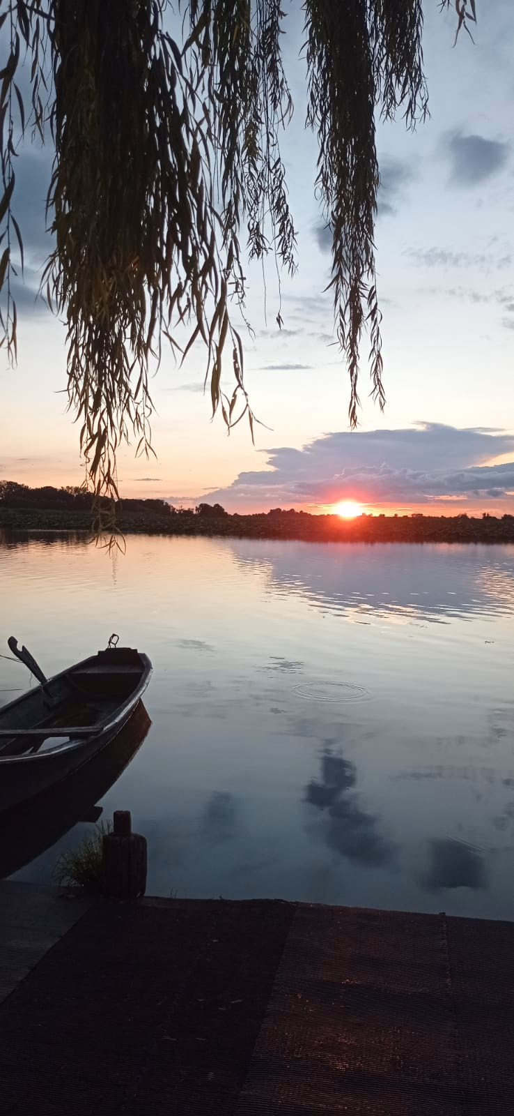 Tramonto in SUP tra i fiori di Loto