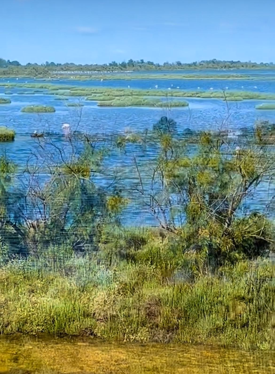 In bici sulla Laguna di Venezia: Guida alla Ciclabile di Cavallino- Treporti e Lio Piccolo