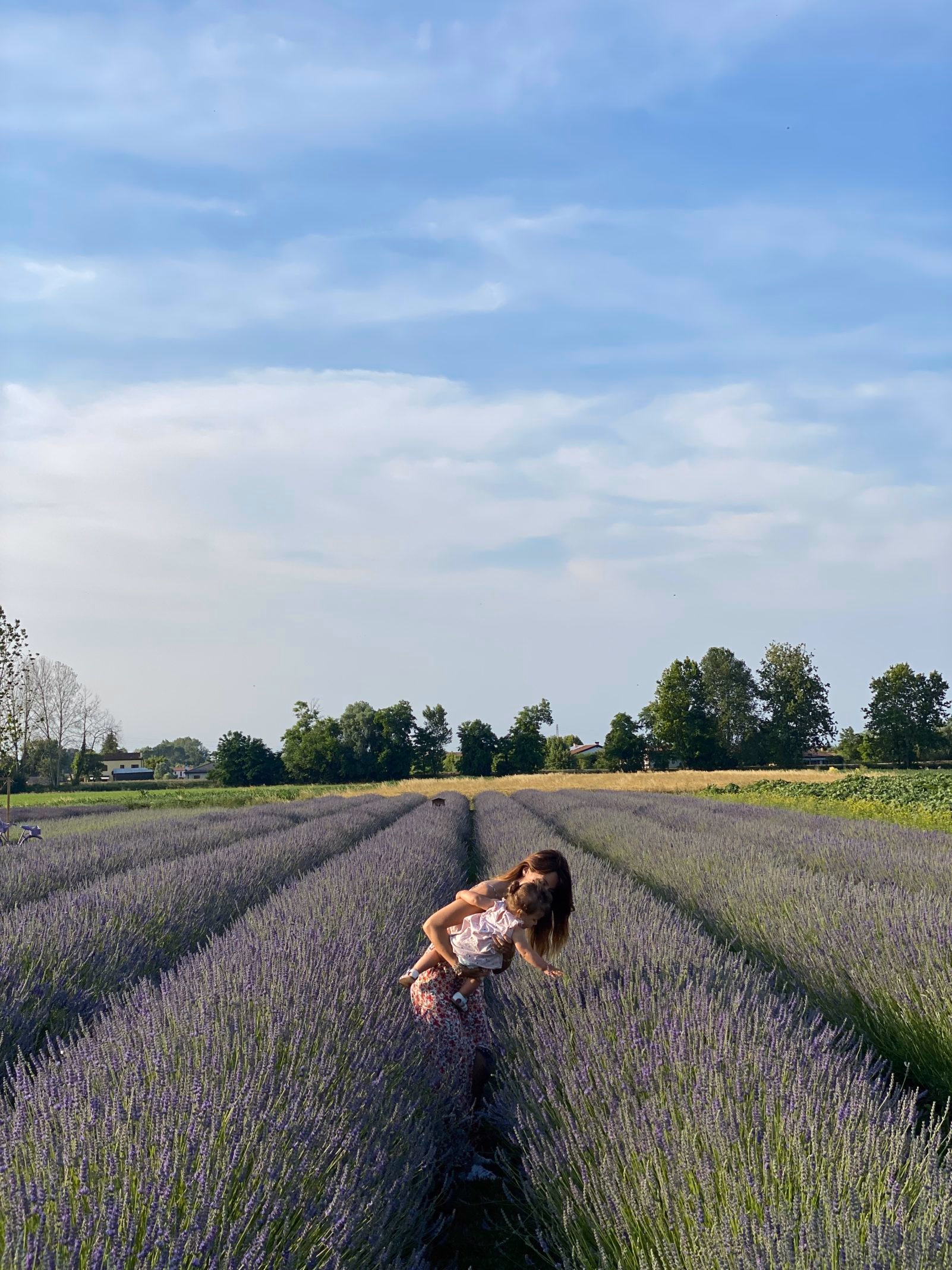 La Lavanda / i tulipani / i Girasoli del Brenta