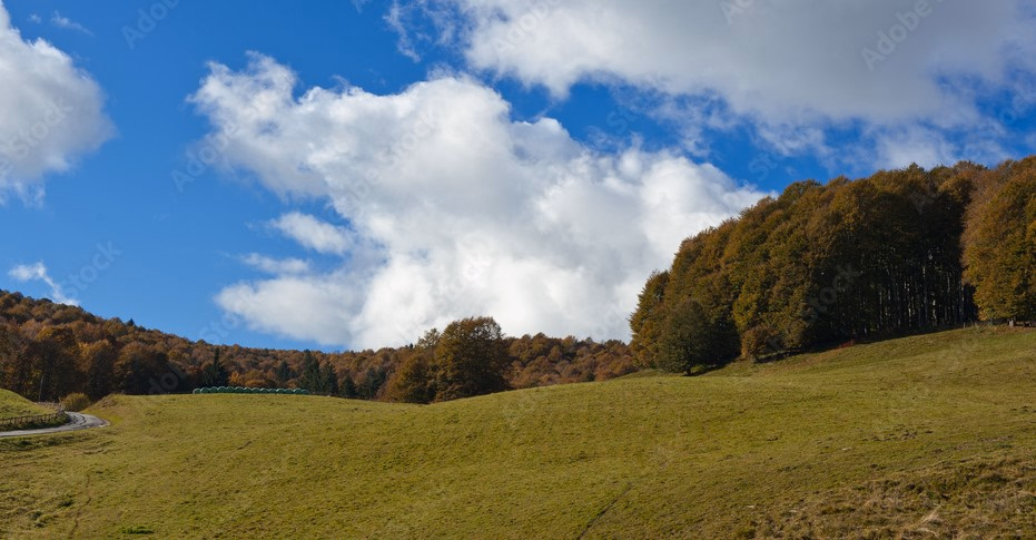 Trekking nel Foliage del Bosco del Cansiglio
